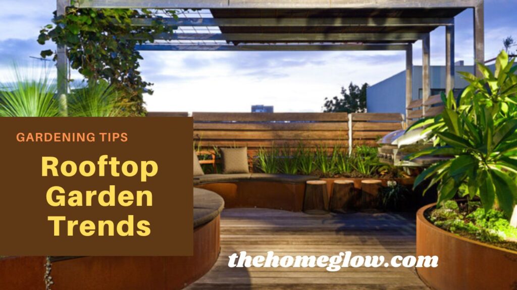 Rooftop Garden Trends: Design, Plants, and Sustainability in 2024